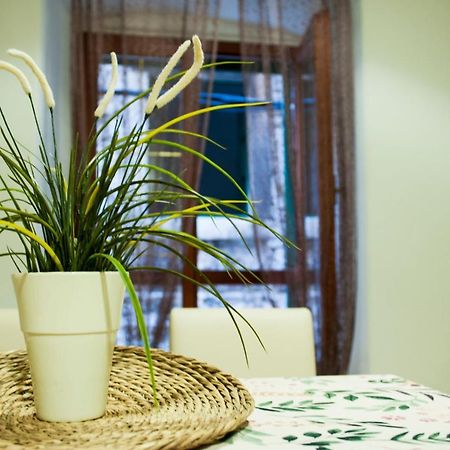 Apartman Flower Šibenik Dış mekan fotoğraf