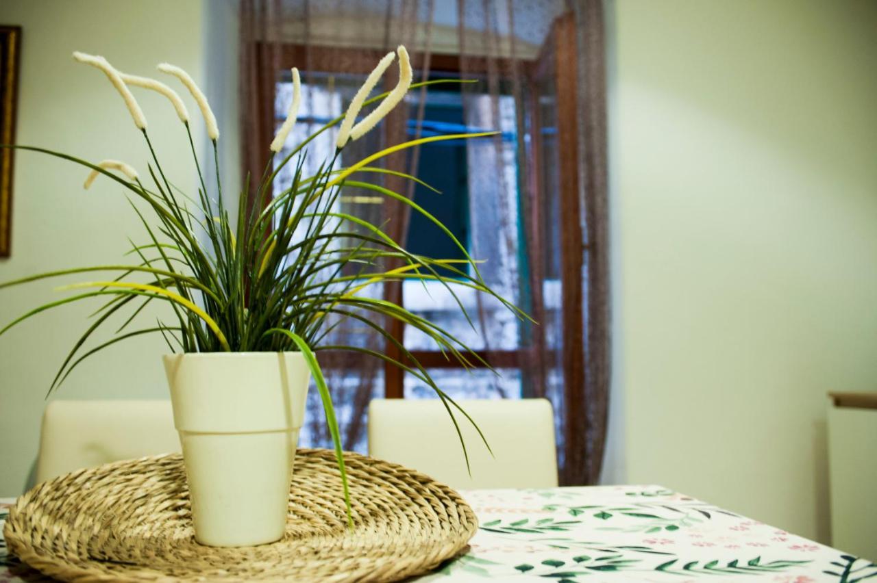 Apartman Flower Šibenik Dış mekan fotoğraf